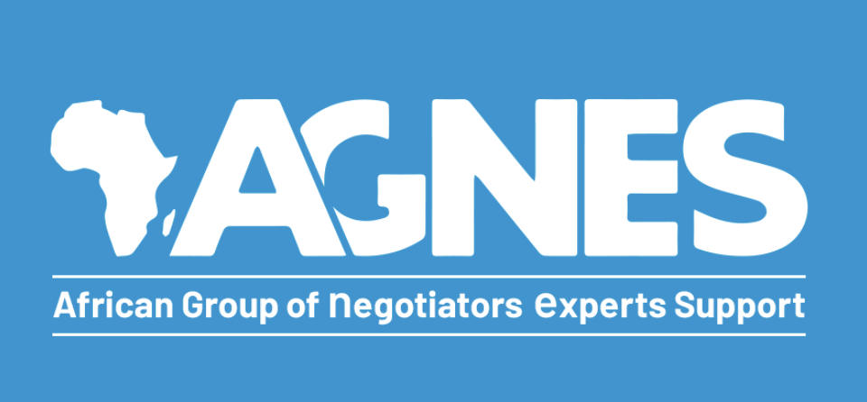 AGNES logo